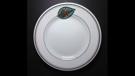 tableware, dishware, drinkware, plate