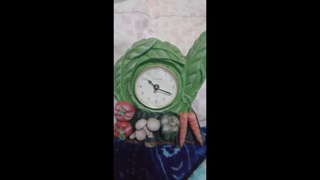 clock, plant, analog watch, measuring instrument