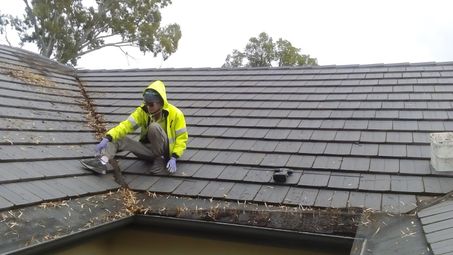 roof, roofer, construction worker, blue-collar worker