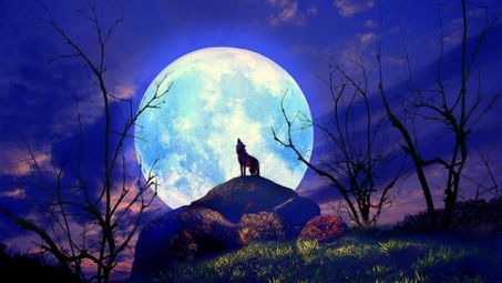 moon, nature, moonlight, full moon