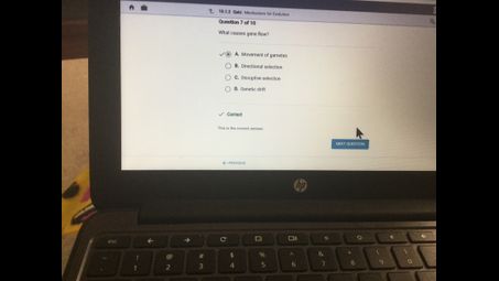 laptop, netbook, personal computer, screen
