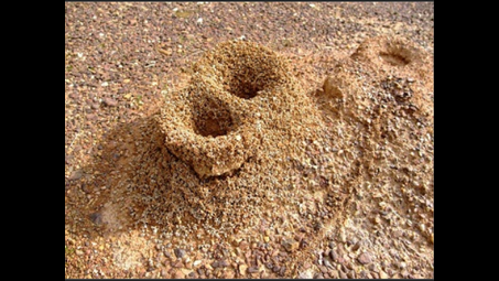 sand, soil, rock