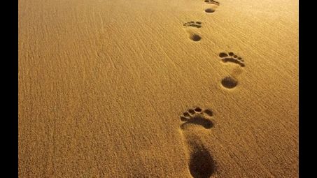 sand, footprint, natural environment, desert