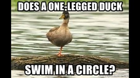 one-legged duck
